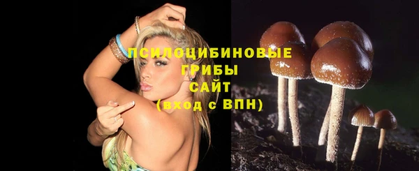 стафф Алексеевка