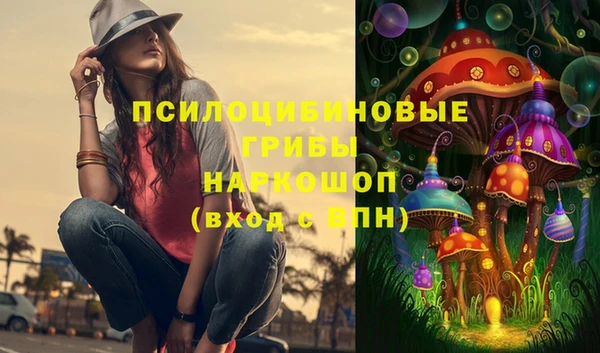 стафф Алексеевка