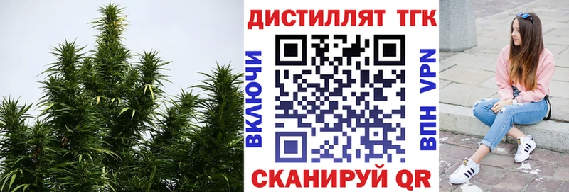 где купить Миасс ТГК жижа
