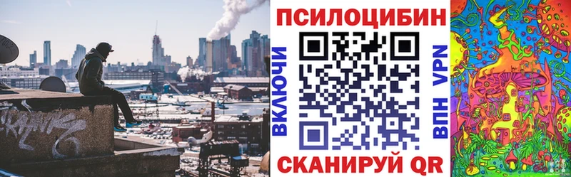 omg сайт Миасс Галлюциногенные грибы Psilocybe