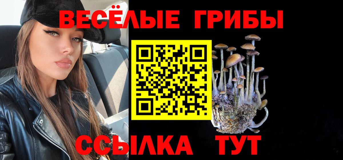 Миасс  Псилоцибиновые грибы Magic Shrooms  Вход с VPN 